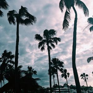 Meet your Posher, Gianna